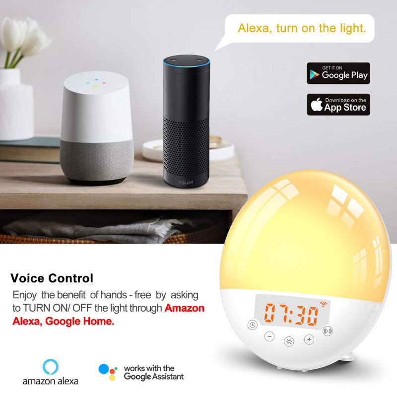 Wi-Fi Voice-Control Sunrise Wake-Up Light Alarm Clock – Smart Natural Light Simulation with App, FM Radio & Sleep Aid Features